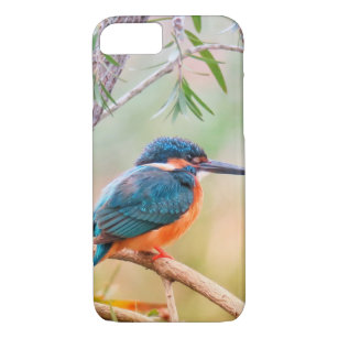 Kingfisher Perched on Branch iPhone 8/7 Case