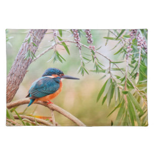 Kingfisher Perched on Branch Cloth Placemat