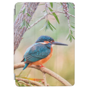 Kingfisher Perched on Branch iPad Air Cover