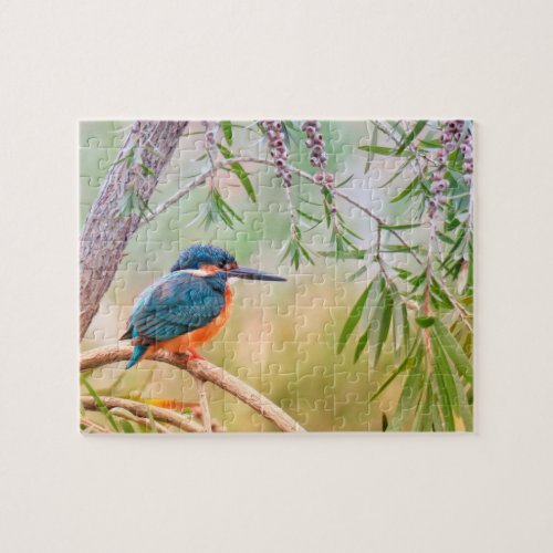 Kingfisher Perched on Branch Jigsaw Puzzle