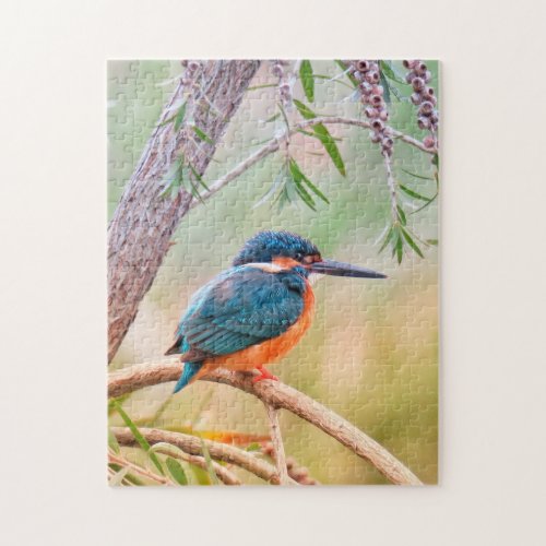 Kingfisher Perched on Branch Jigsaw Puzzle