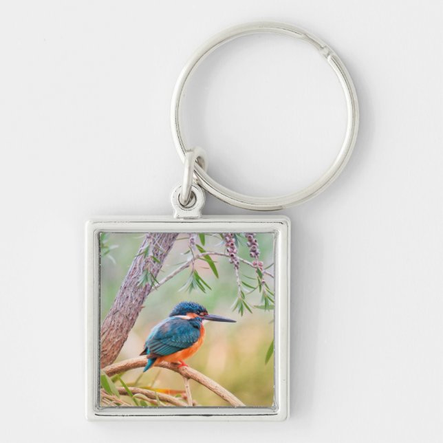 Kingfisher Perched on Branch Keychain (Front)