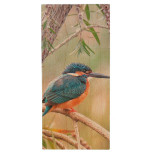Kingfisher Perched on Branch Wood Flash Drive