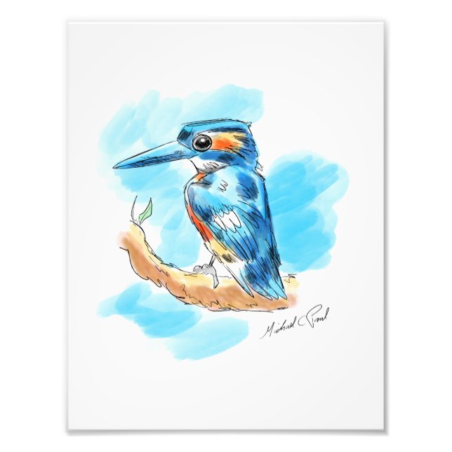 Kingfisher Photo Print (Front)