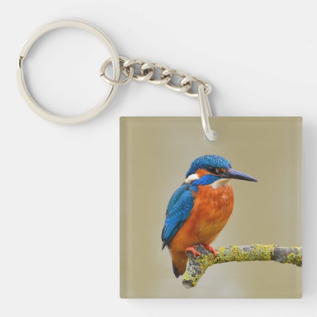 Kingfisher Portrait Photograph Keychain (Front)