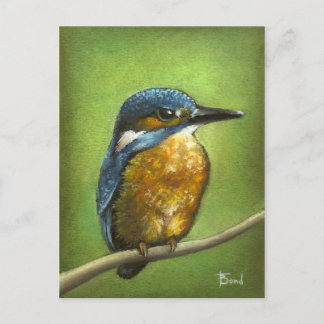 Kingfisher Postcard