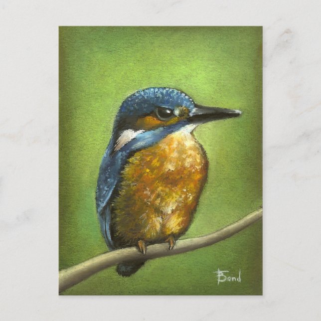 Kingfisher Postcard (Front)