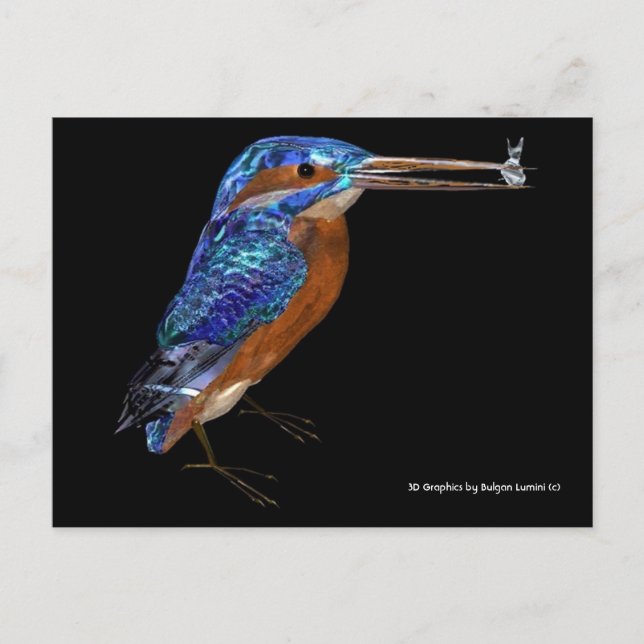KINGFISHER POSTCARD (Front)