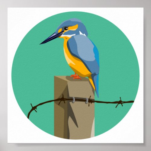 Kingfisher Poster