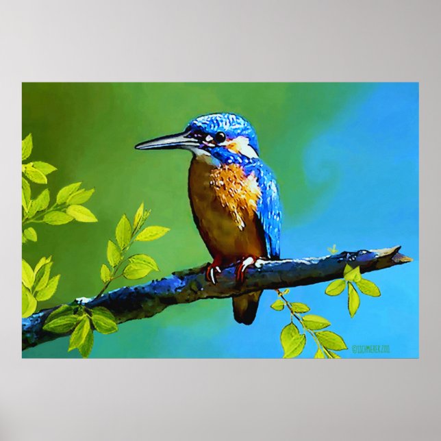 Kingfisher Poster (Front)