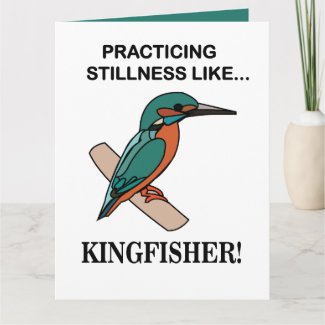 Kingfisher Practicing Stillness Like Kingfisher