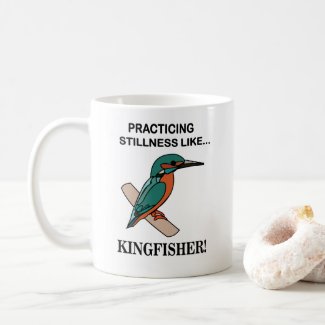 Kingfisher Practicing Stillness Like Kingfisher