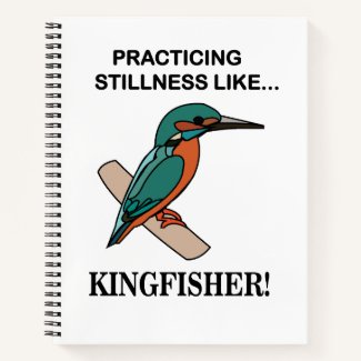 Kingfisher Practicing Stillness Like Kingfisher