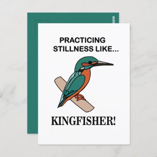 Kingfisher Practicing Stillness Like Kingfisher