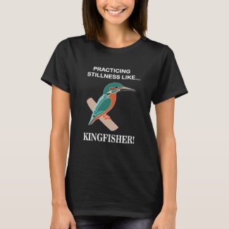 Kingfisher Practicing Stillness Like Kingfisher
