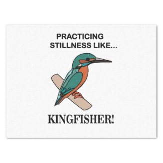 Kingfisher Practicing Stillness Like Kingfisher