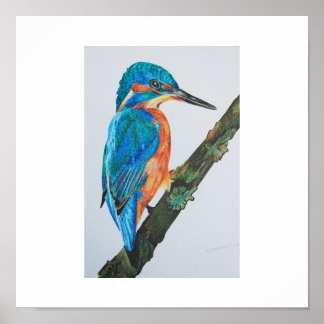 Kingfisher Print - choose your paper and frame! (Front)