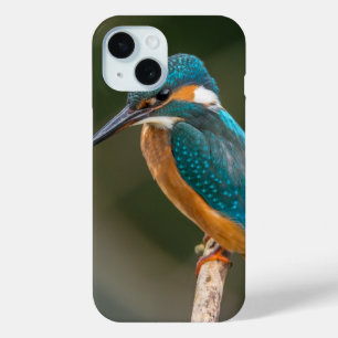 Kingfisher Profile Photo iPhone 15 Case