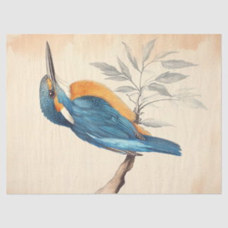 Kingfisher River Wildlife Vintage Decoupage Print Tissue Paper