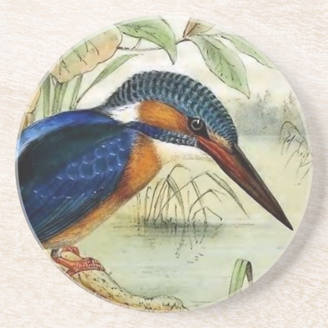 Kingfisher Vintage Bird Illustration Coaster (Front)