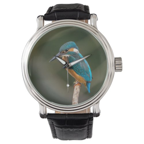 KIngfisher Watch