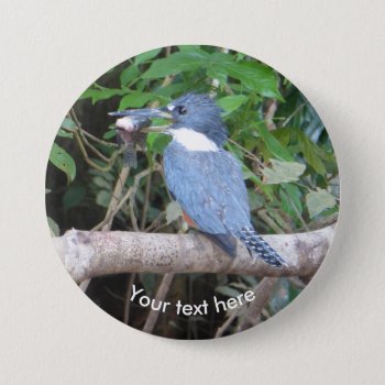 Kingfisher With Fish From Costa Rica Button by Edelhertdesigntravel at Zazzle
