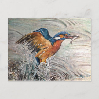 Kingfishing Postcard