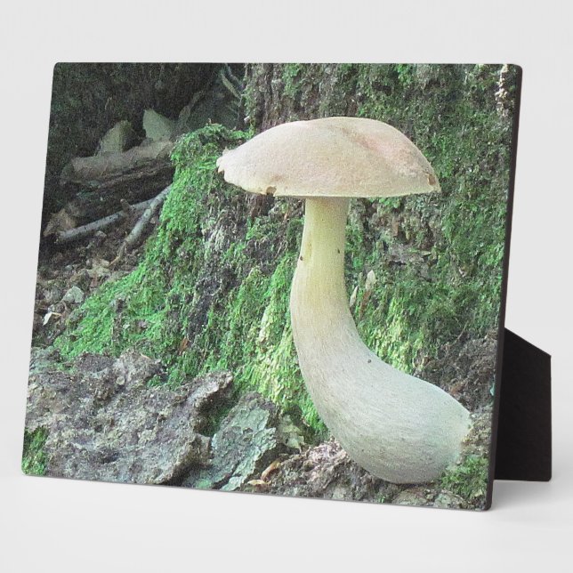 Kingly Mushroom Plaque (Side)