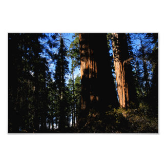 Kings Canyon National Park Photo Print