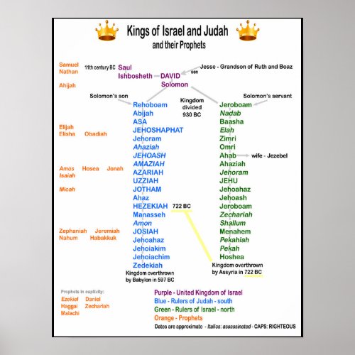 Kings of Israel and Judah Poster