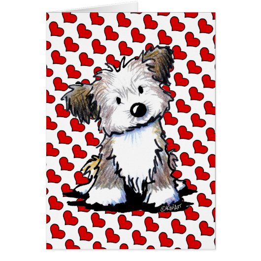KiniArt Havanese Cards (Front)