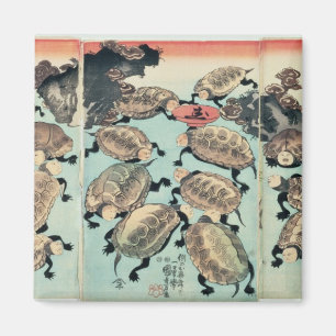 Kinki-Myo-Myo Magnet