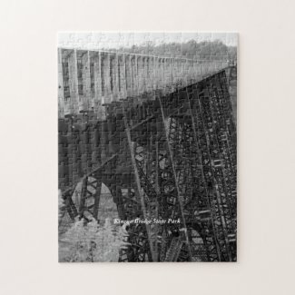 Kinzua Bridge Skywalk Picturesque Family Fun