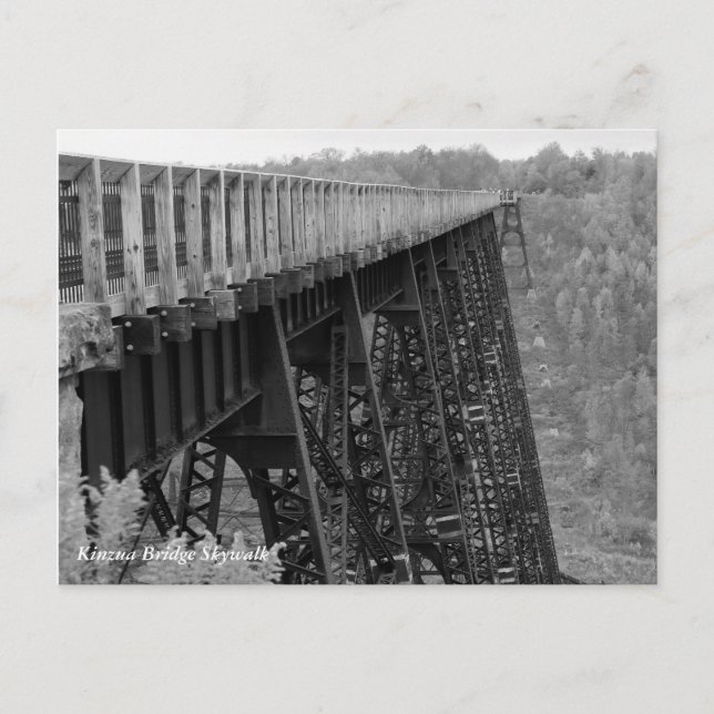 Kinzua Bridge Skywalk Postcard (Front)