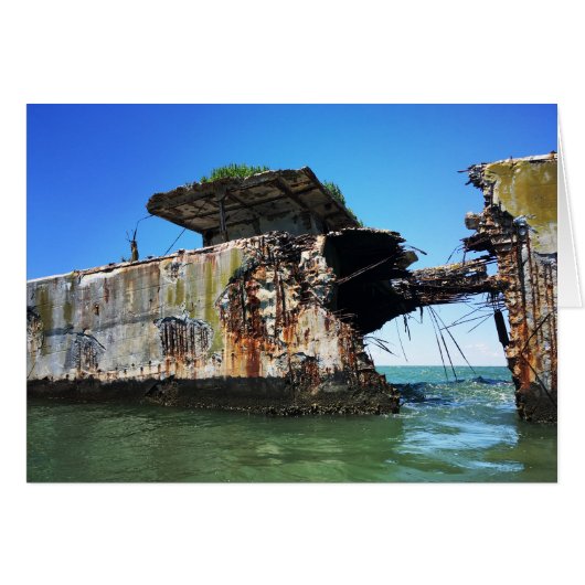 kiptopeke beach concrete ships (Front Horizontal)