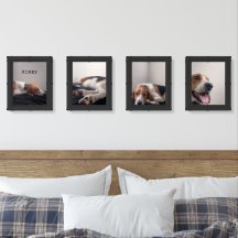 Kirby set of four photos