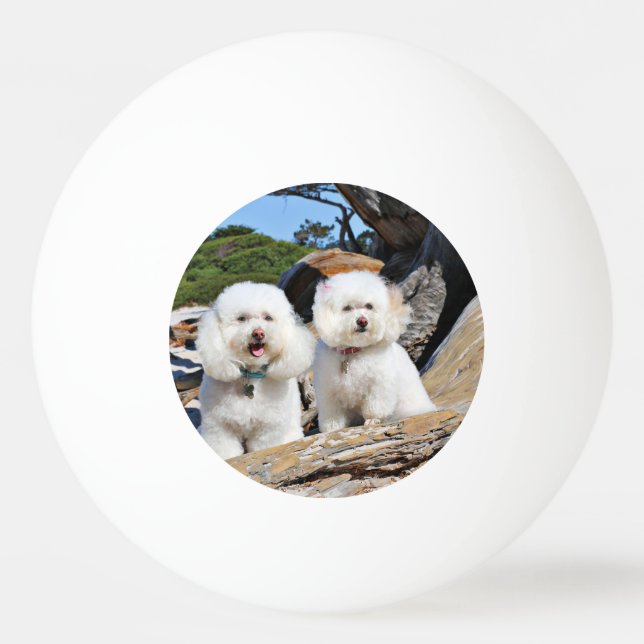 Kirby Shelby - Poodles on Carmel Beach Ping-Pong Ball (Front)