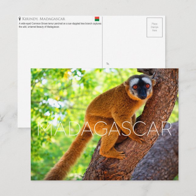 Kirindy, Madagascar Travel Postcard (Front/Back)
