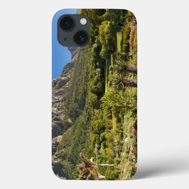 Kirstenbosch Botanic Gardens, Cape Town Case-Mate iPhone Case (Back)
