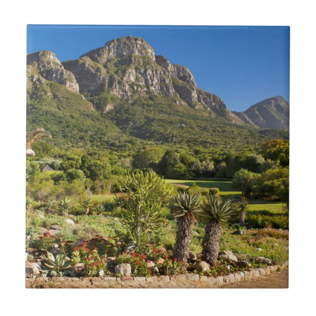 Kirstenbosch Botanic Gardens, Cape Town Ceramic Tile (Front)