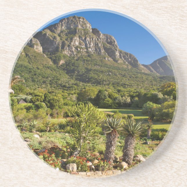 Kirstenbosch Botanic Gardens, Cape Town Drink Coaster (Front)