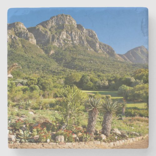 Kirstenbosch Botanic Gardens Cape Town Stone Coaster
