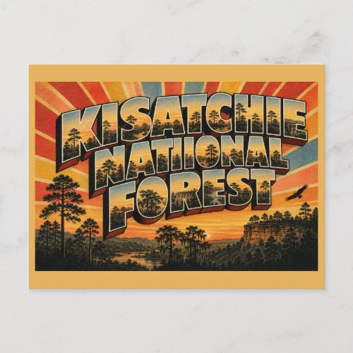 Kisatchie National Forest LA Vintage Travel Art Postcard