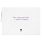 Kishka-glittering in gold cards (Back Horizontal)