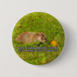 Kiss a groundhog today. Get a rabies shot button