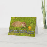 Kiss a groundhog today. Get a rabies shot card