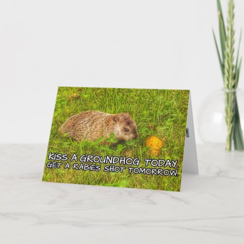 Kiss a groundhog today Get a rabies shot card