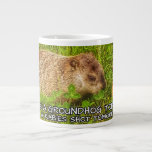 Kiss a groundhog today. Get a rabies shot mug