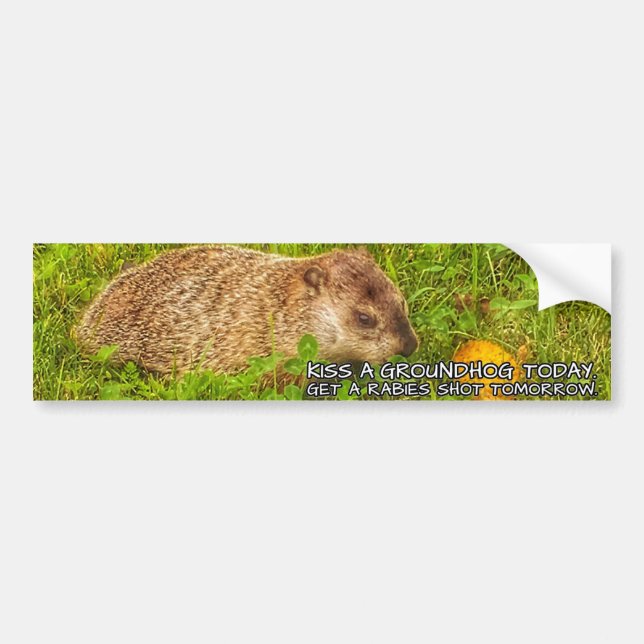 Kiss a groundhog today. Get a rabies shot sticker (Front)