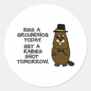 Kiss a groundhog today. Get a rabies shot tomorrow Classic Round Sticker
